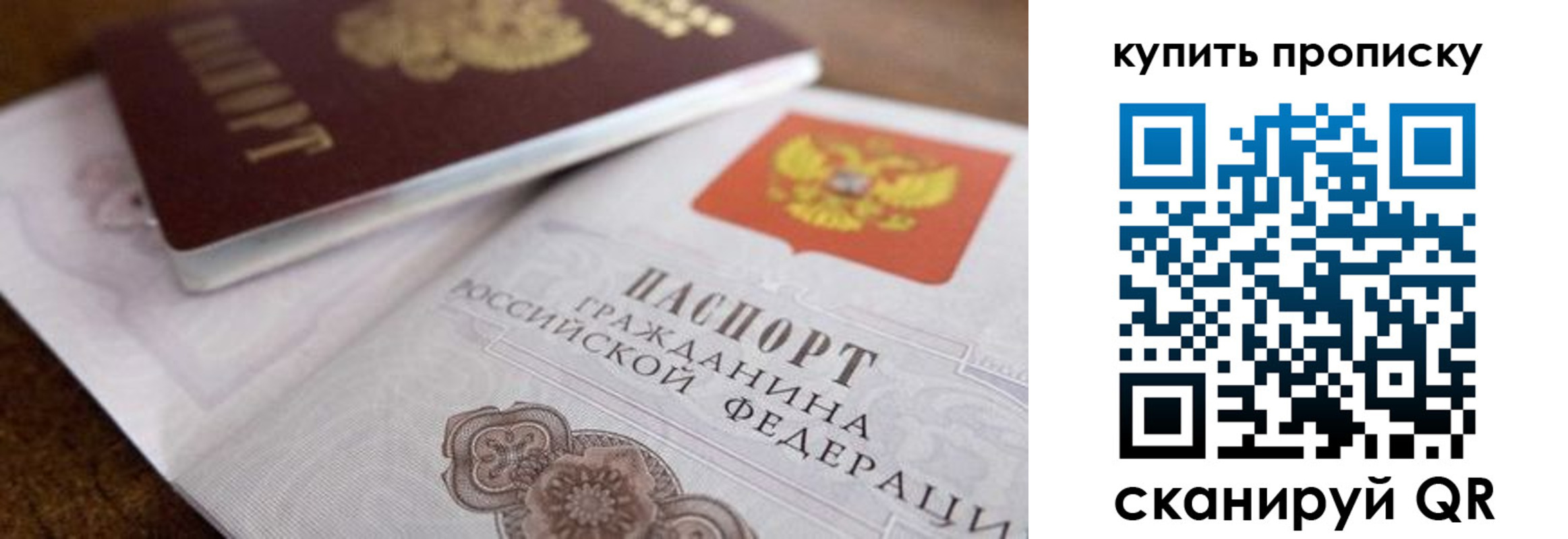прописка гарантия в Нелидово